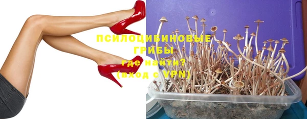 spice Осинники