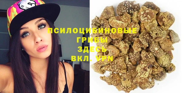мяу мяу мука Няндома