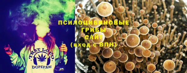 бошки Нягань