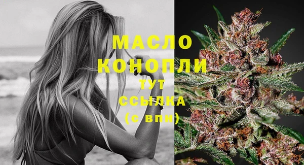 мяу мяу мука Няндома