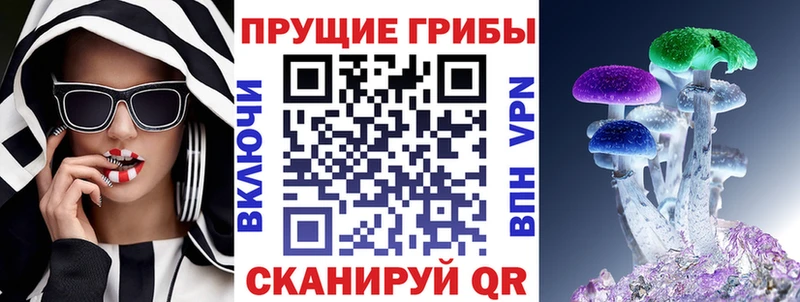 Купить где  Кирово-Чепецк  Псилоцибиновые грибы Psilocybe 